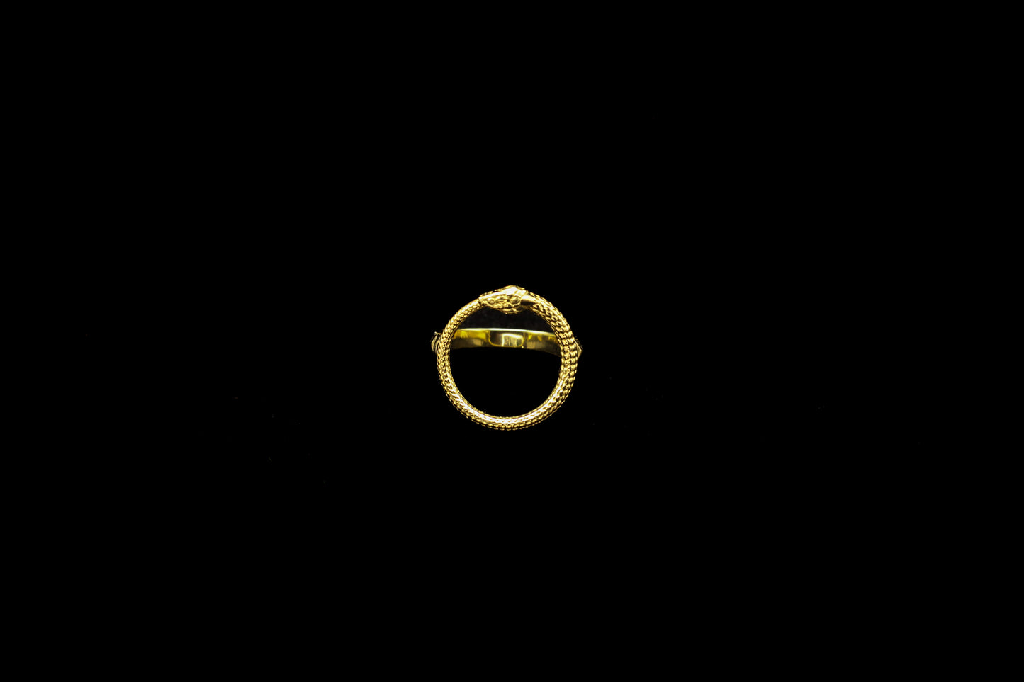 Ouroboros Ring