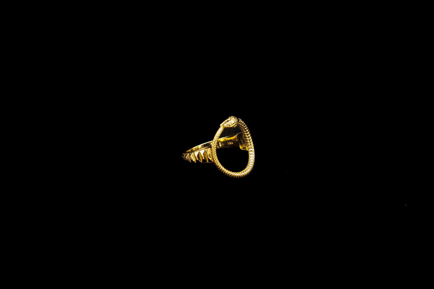 Ouroboros Ring