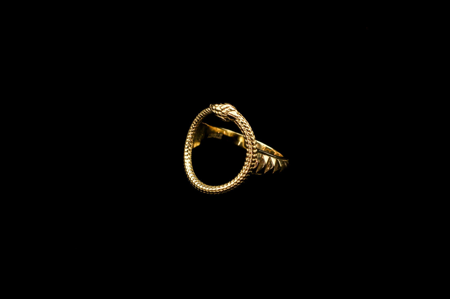 Ouroboros Ring