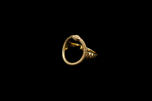 Ouroboros Ring