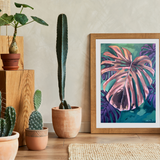 Midnight Monstera