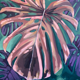 Midnight Monstera