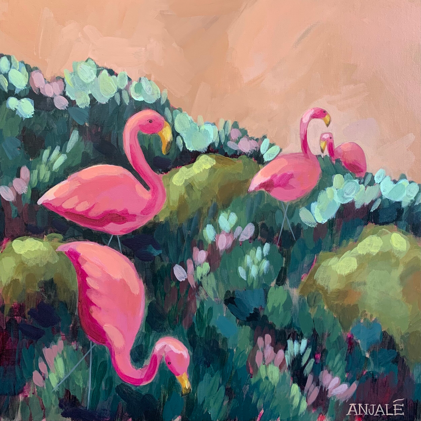 Roaming Flamingos