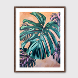 Mariposa Monstera