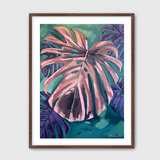 Midnight Monstera