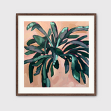 Staghorn Slim