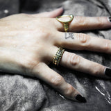 PAX RING