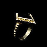 CLEO RING