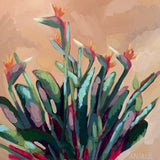Riviera Birds